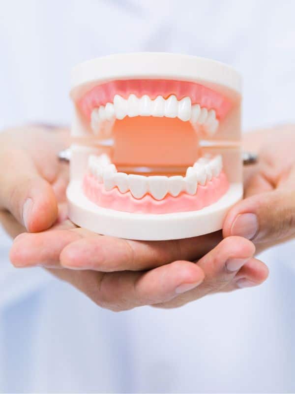 Sample of dentures with person holding them in their hands